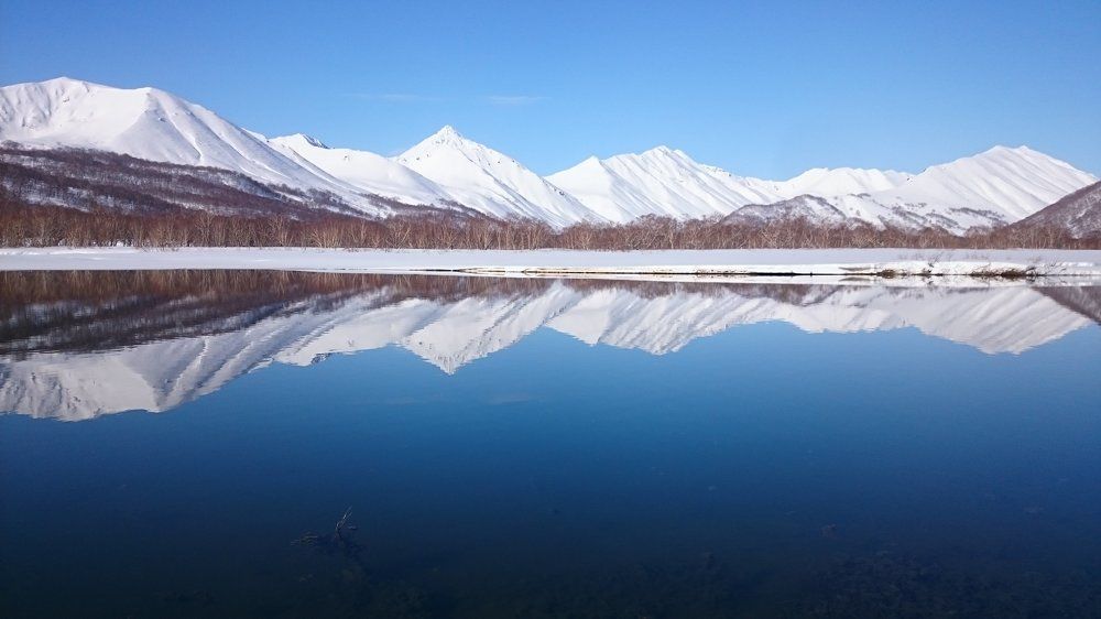 Зеркальное отражение
