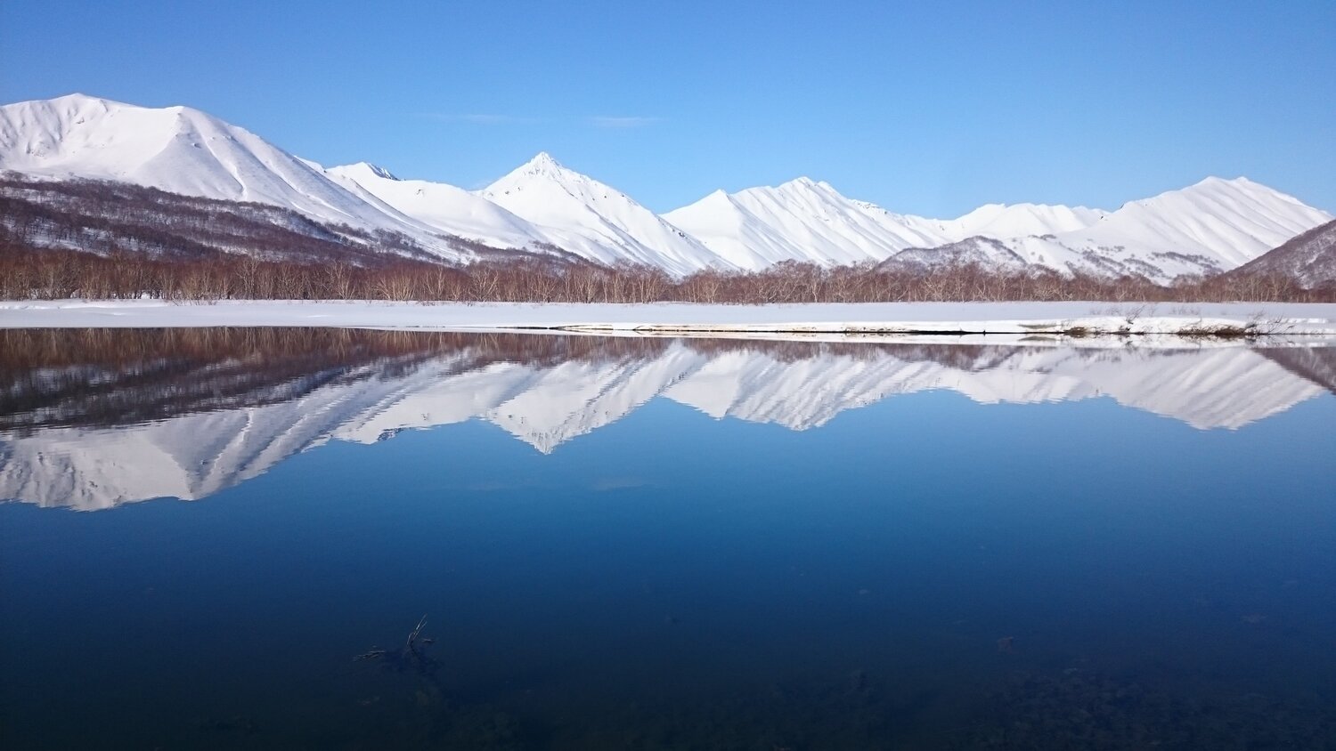 Зеркальное отражение