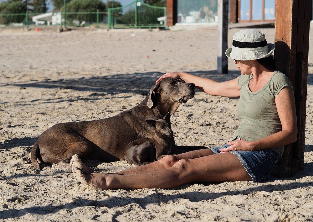 На прогулке.