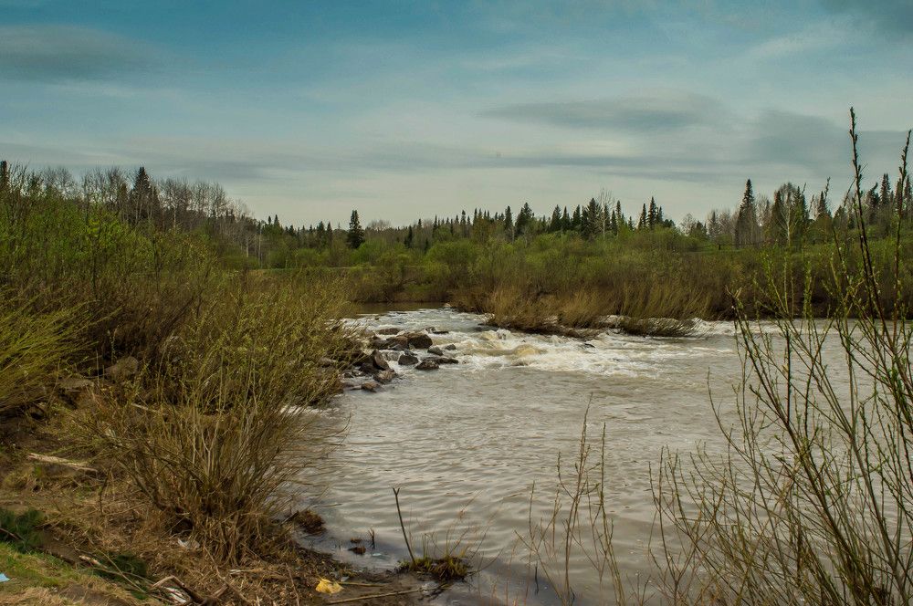 И пришла весна!
