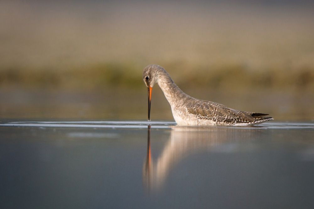 Can I see my face in the mirror !!!