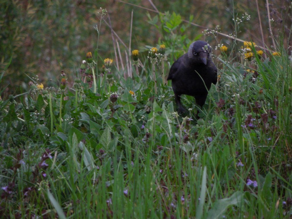 Photograph by Замазкин Графф