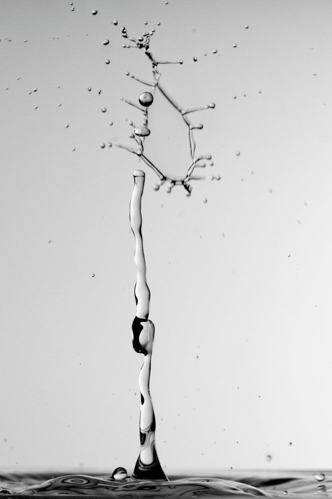 drop1