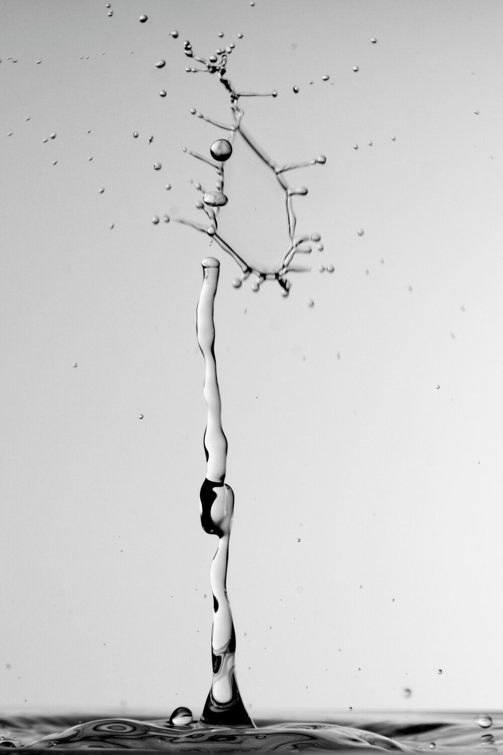 drop1