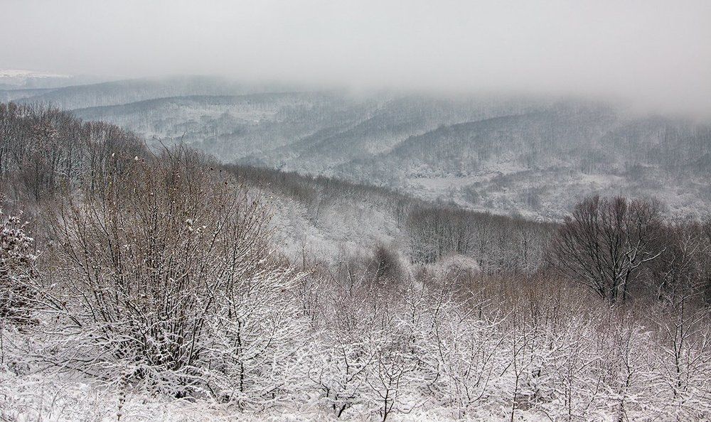 Зимний этюд