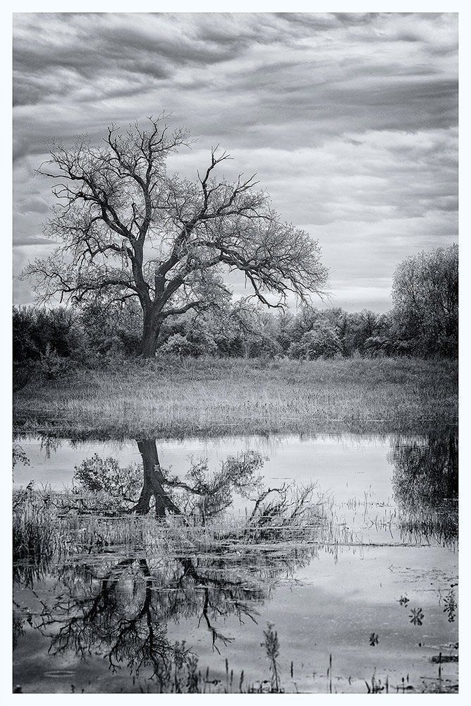 Фотография автора Игорь Баранов
