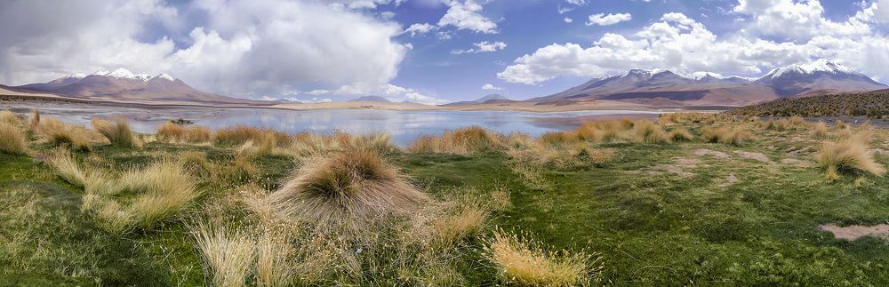 Andean Nature