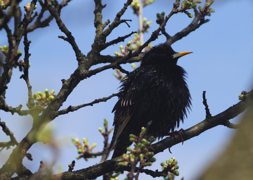 Photograph by Денис Игоревич Нестеров