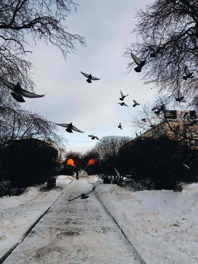 В парке