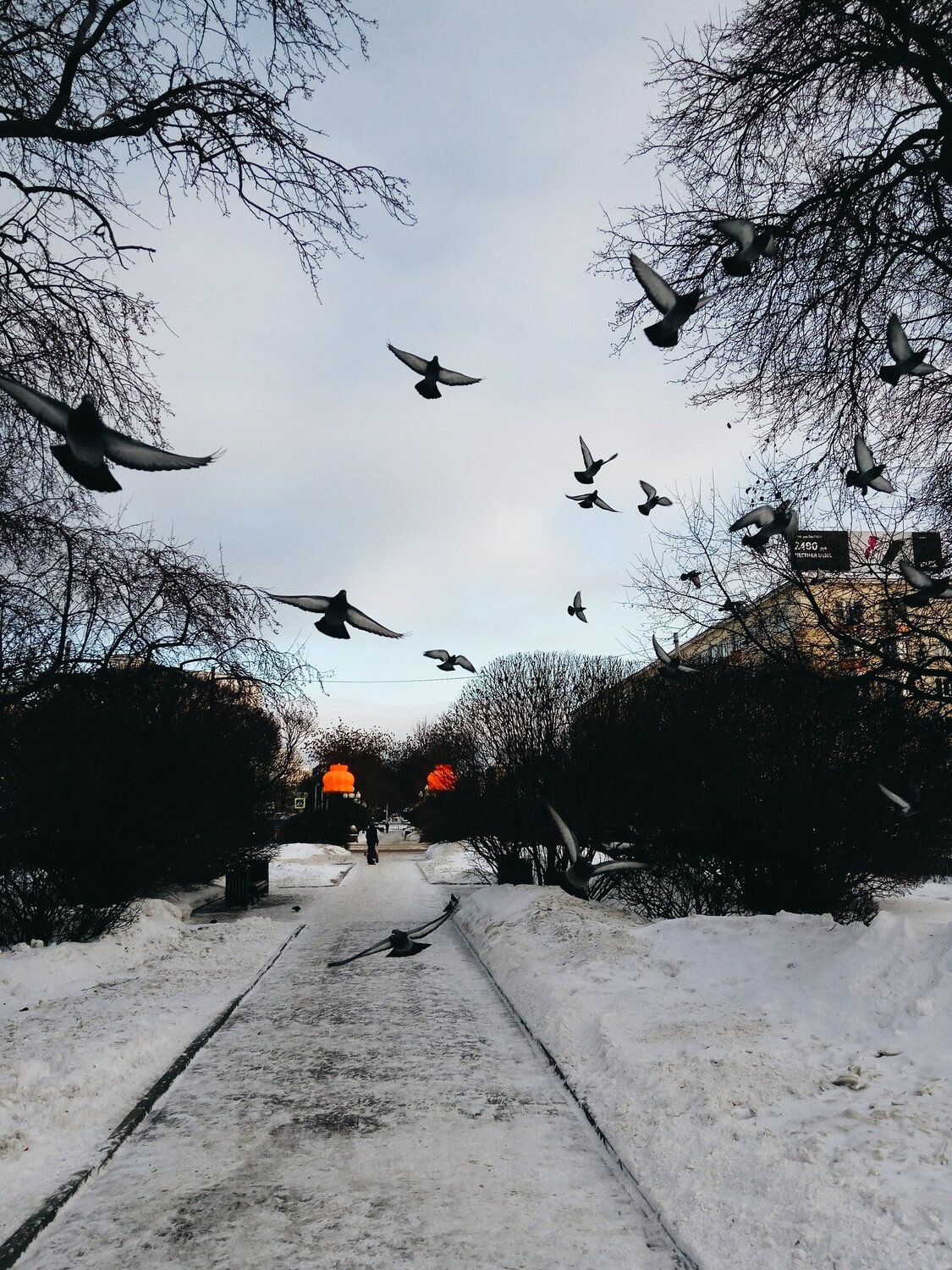 В парке