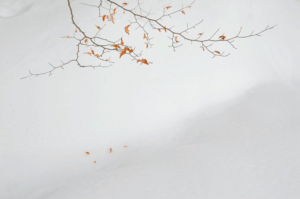 Winter breaks.
