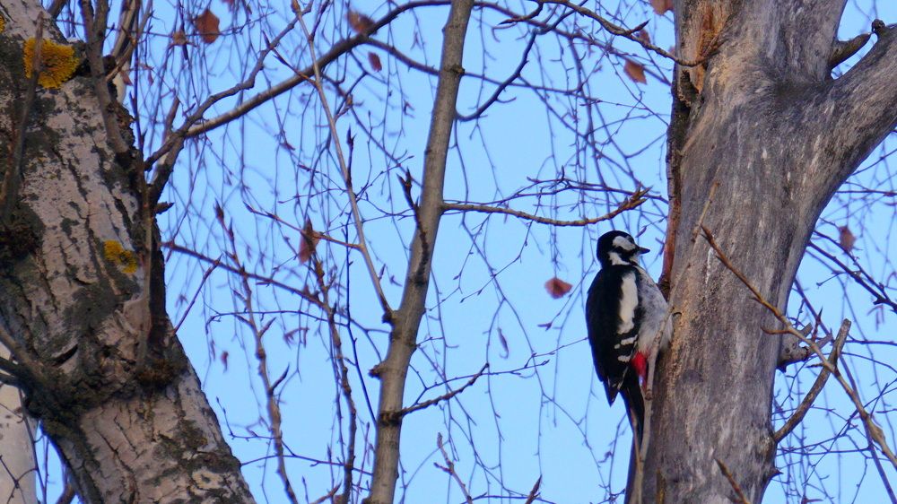 Photograph by Блюмина Елена