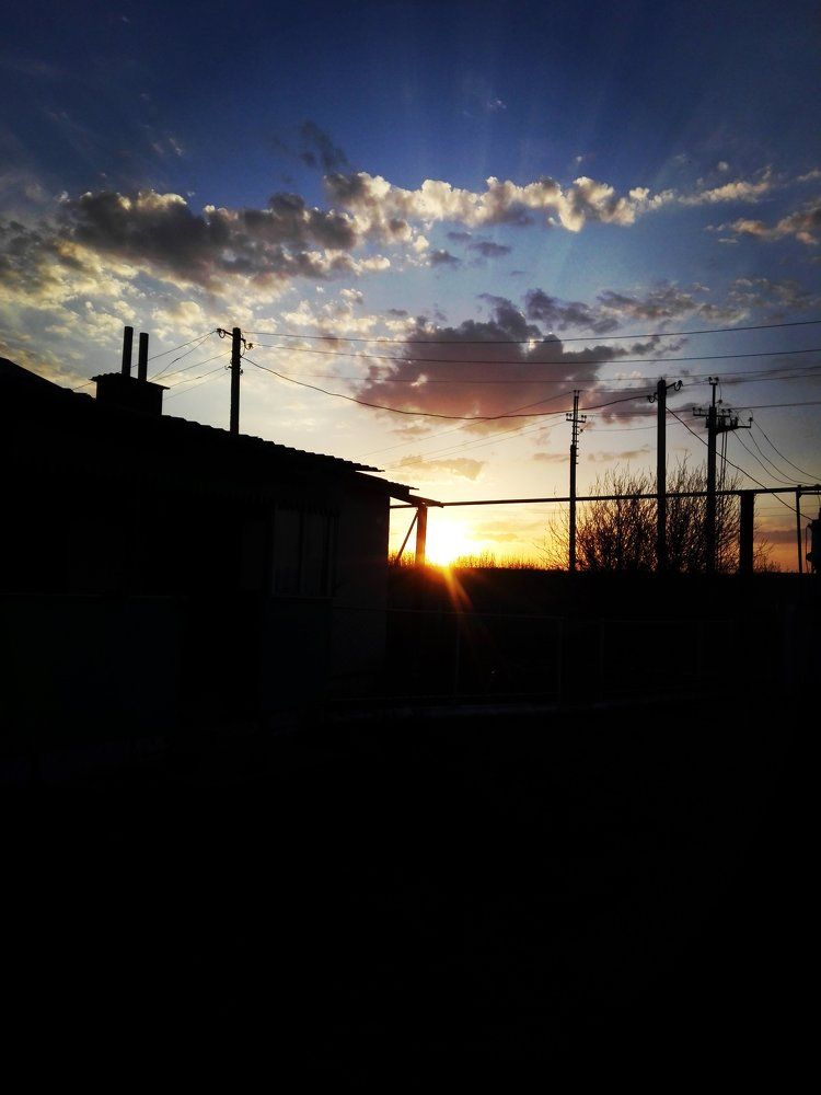 Photo #1775341