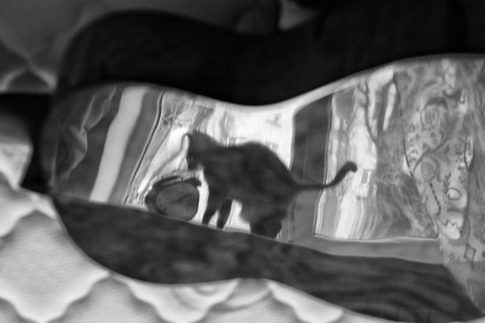 cat, clock and gitar