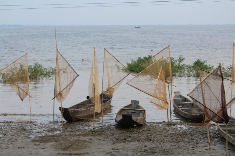 Fishing Net