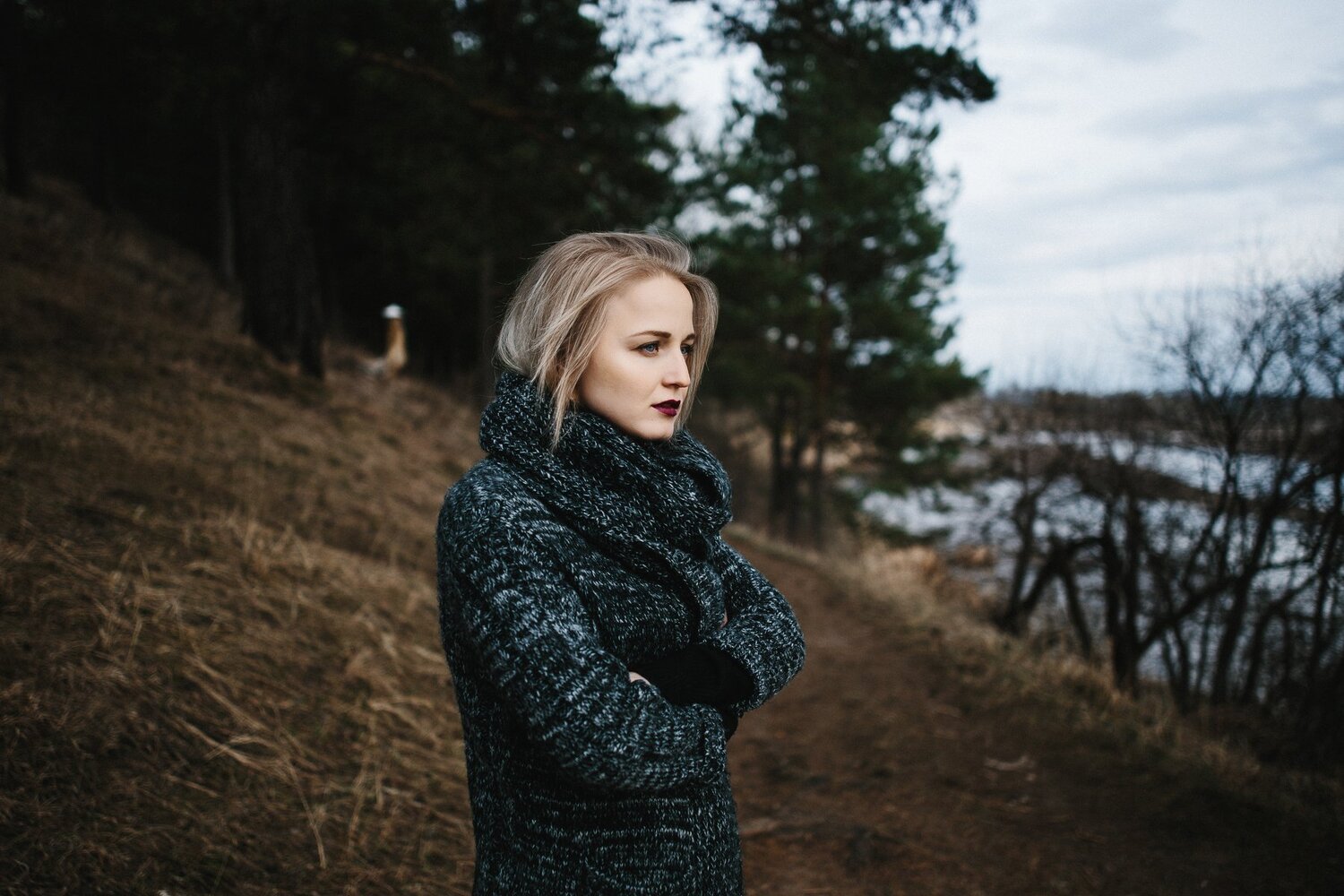 Серый весенний лес