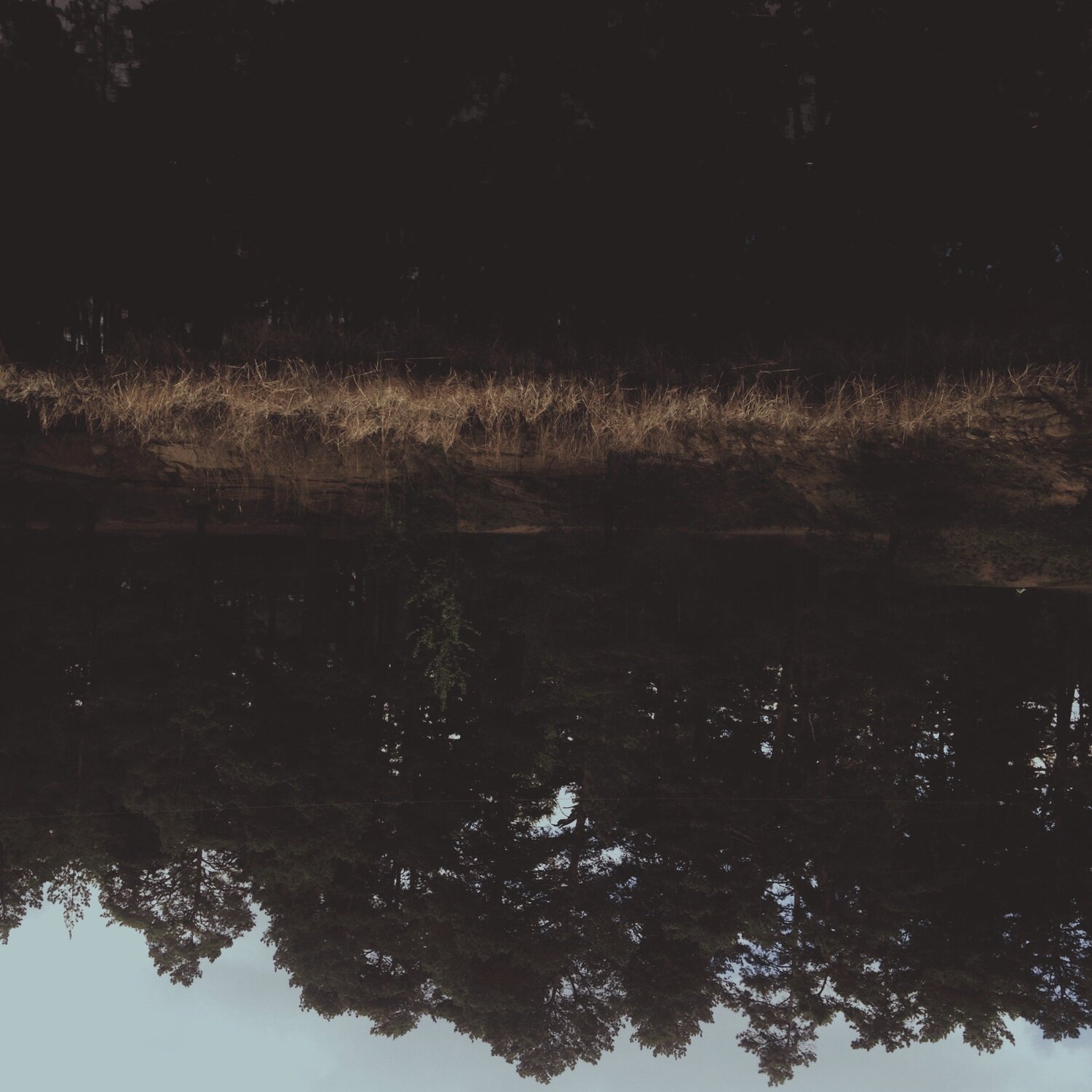 Photo #1775679