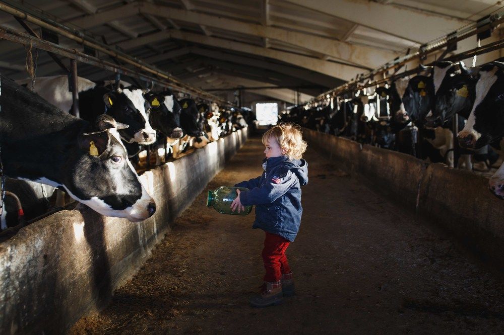 Photograph by Анна Родионова