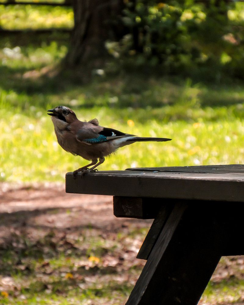 Photograph by Карина Хаустова