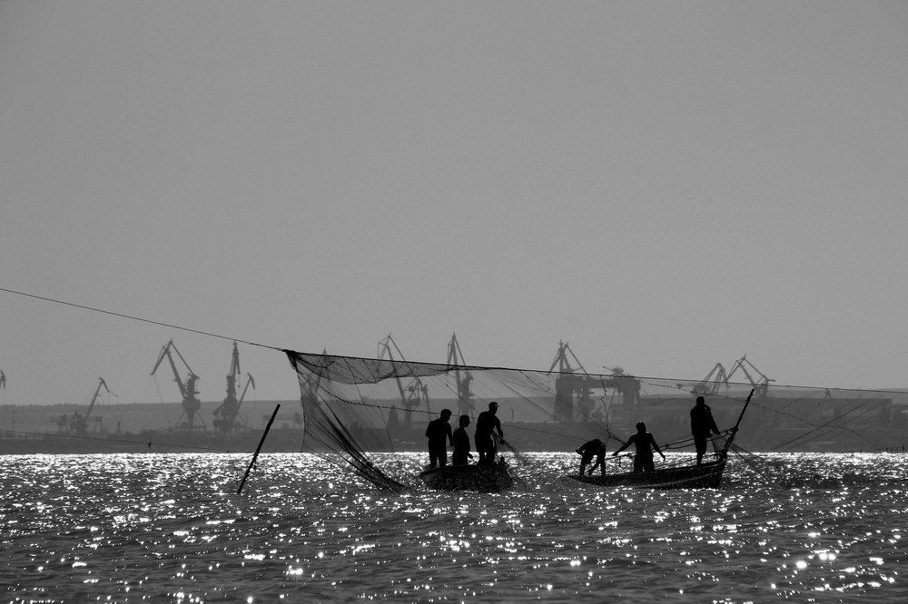 Рыбацкие будни.