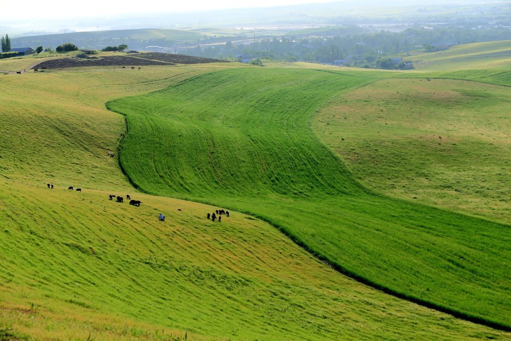 Село красногорск