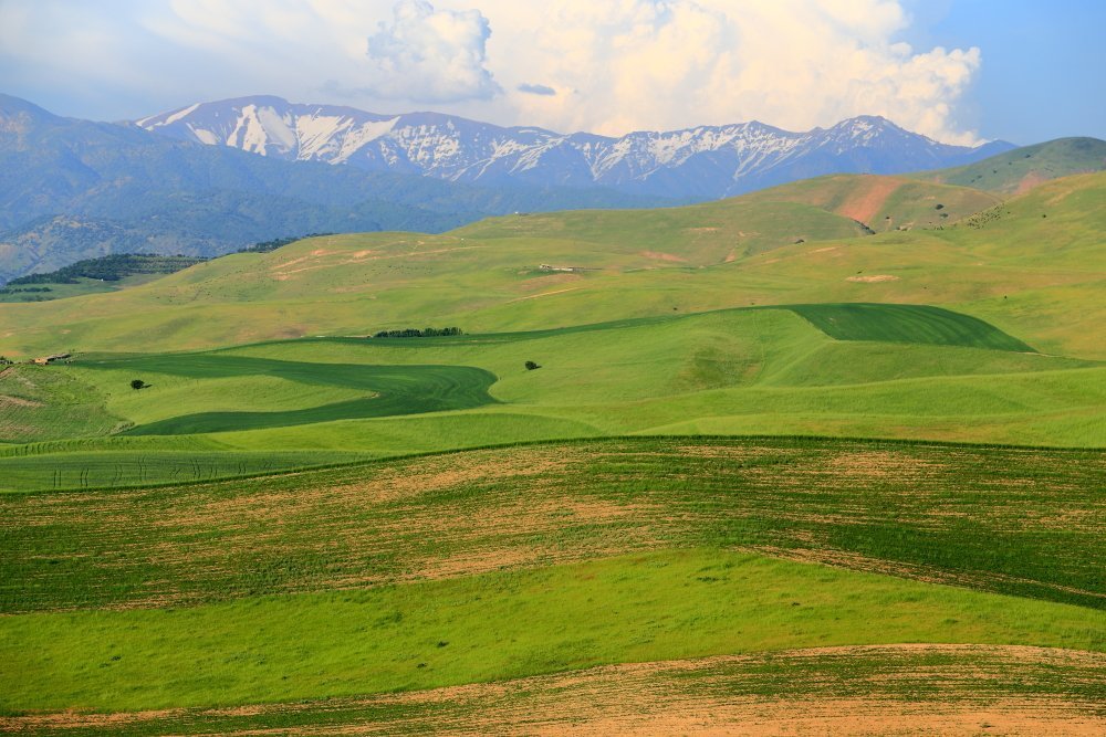 Село Красногорск