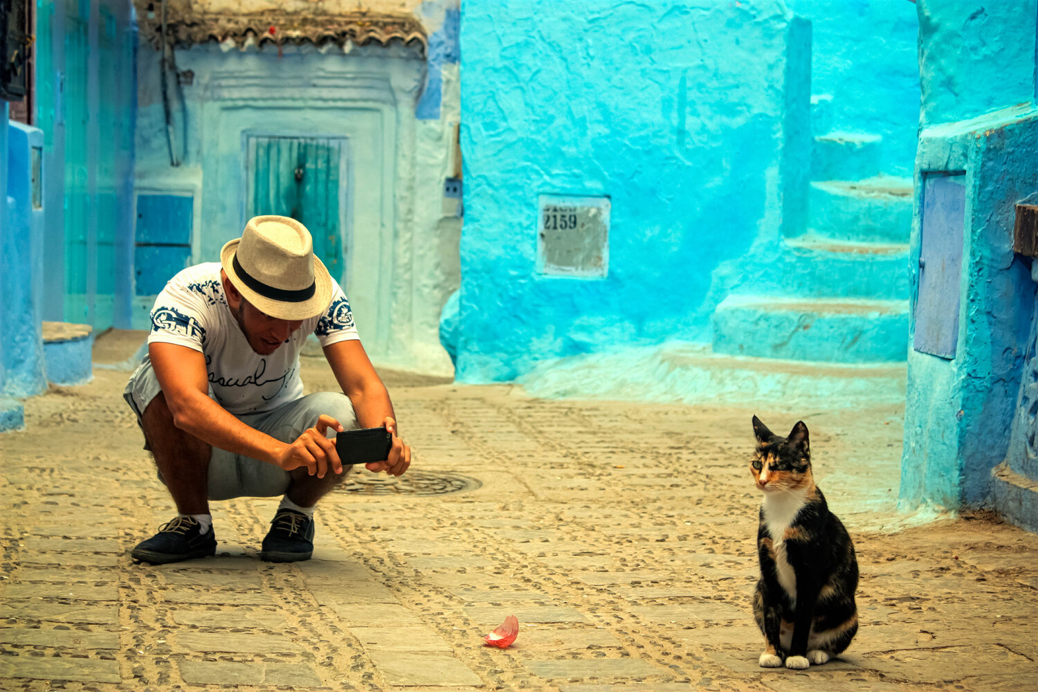 Cat's photographer