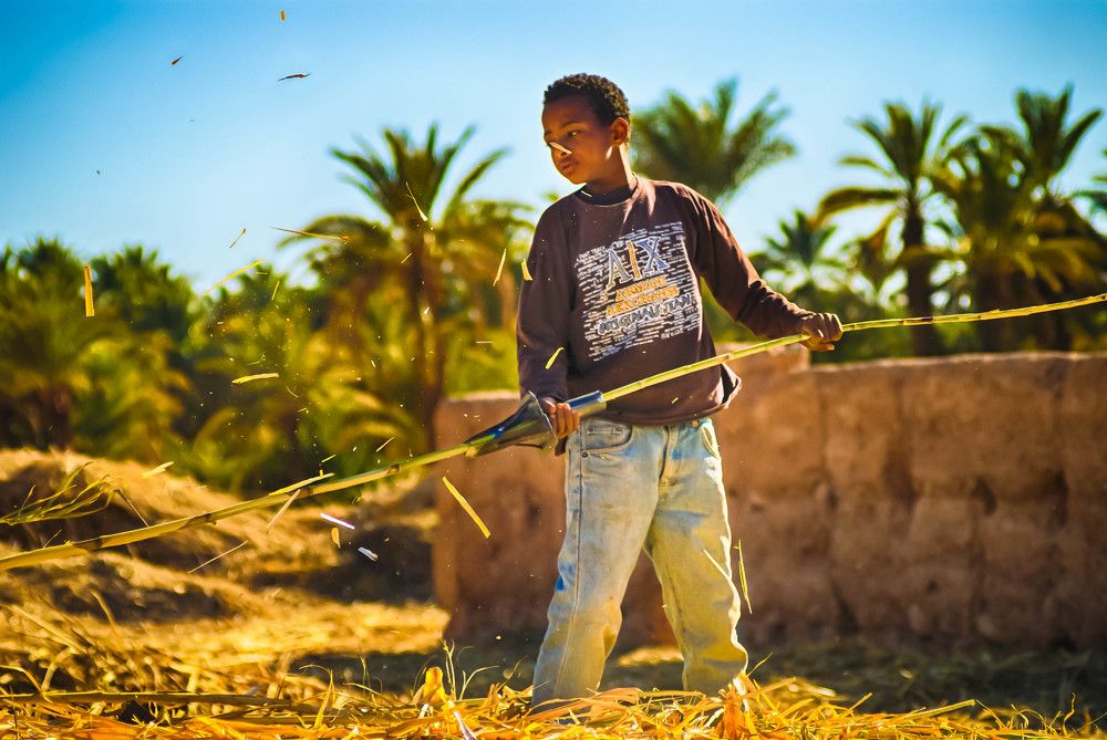 Working Child