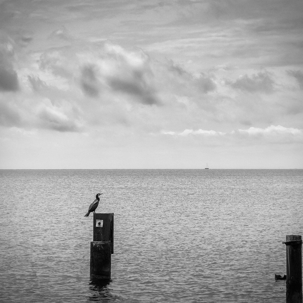 Без причала