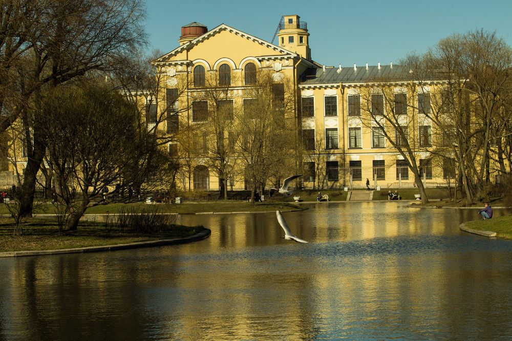 Кто быстрее?