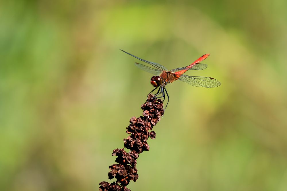 Юный навигатор