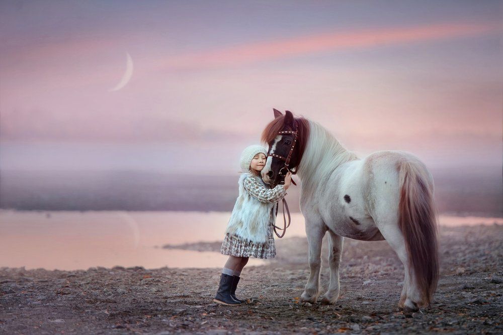 куда приводят мечты