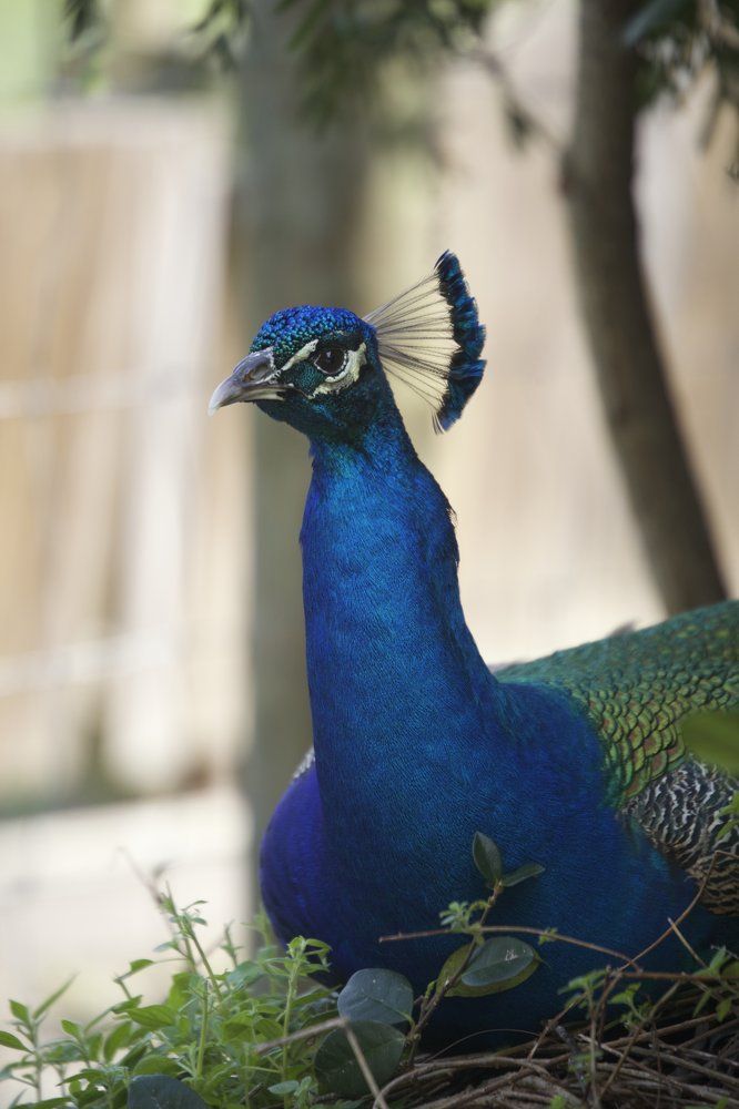 Photograph by Ekaterina