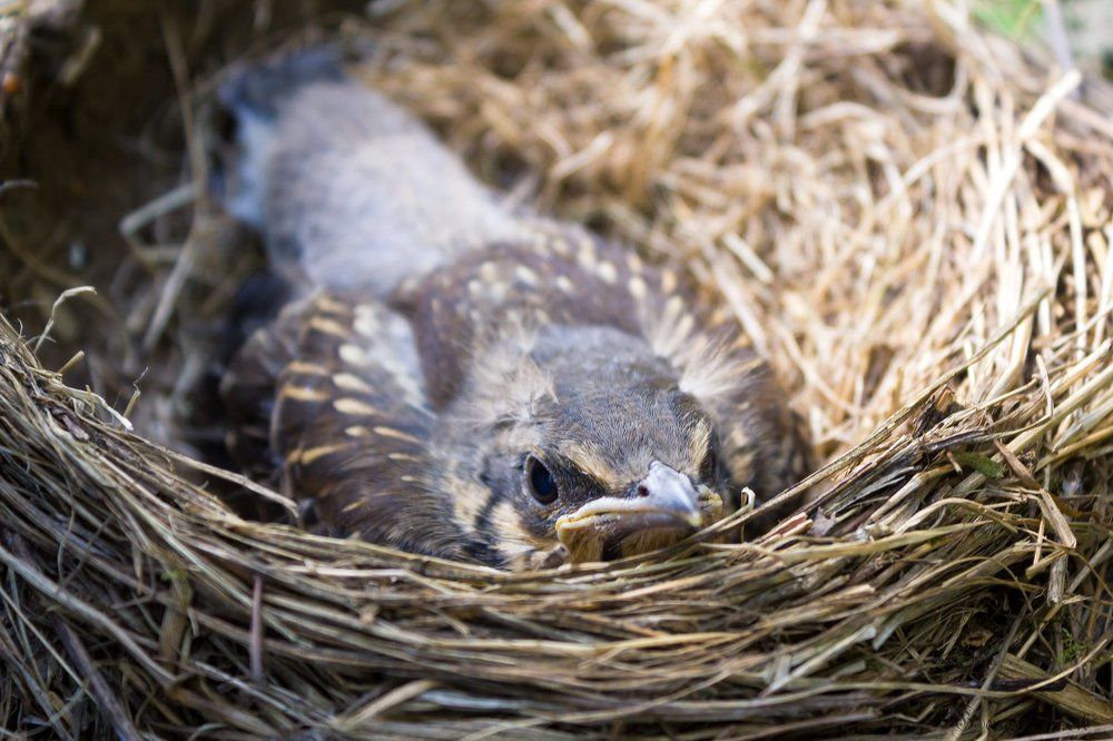 Photograph by Алексей Герасимов