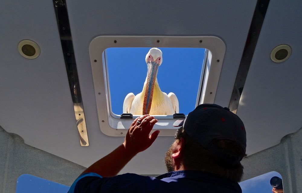 Как дела , капитан ?