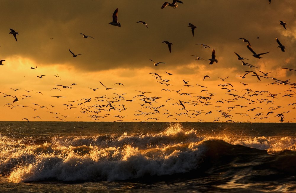 Волнительная гармония