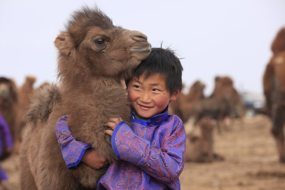 Гердер мальчик.