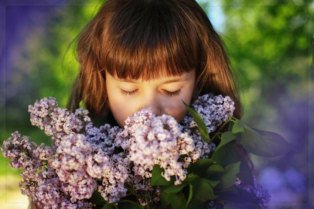 Сиреневая нежность