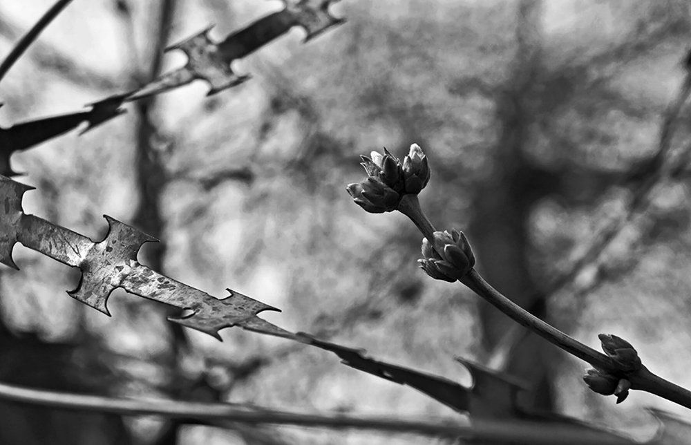 Просто чёрно-белое