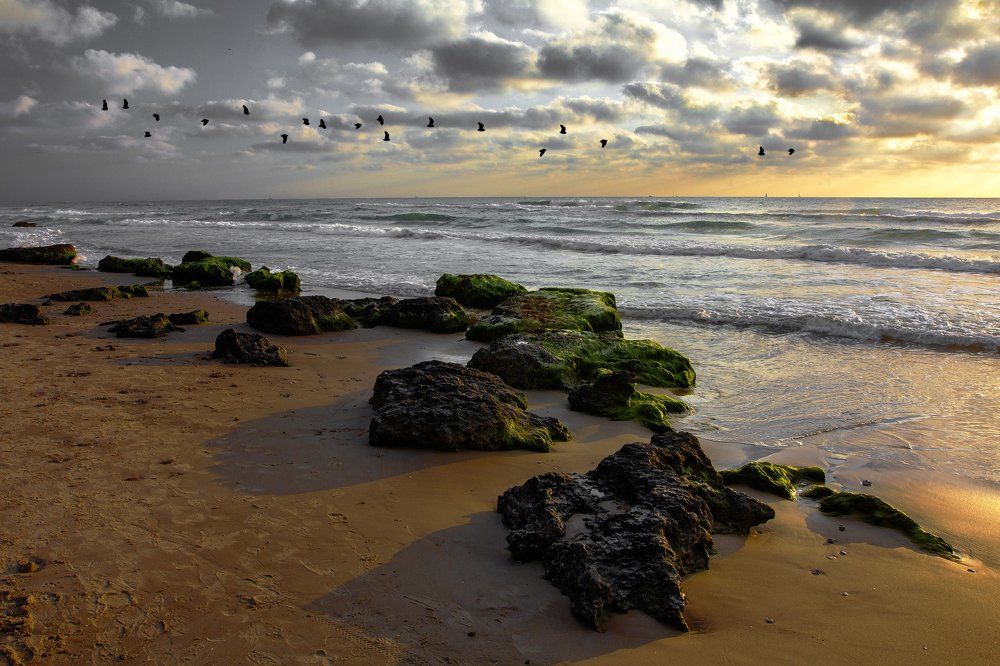 Photograph by Leonid Lan