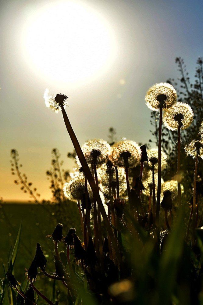 Солнце на закате