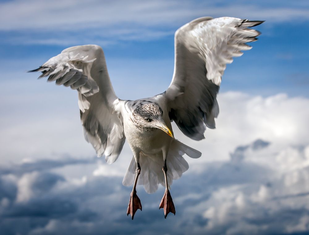 Вертикальный взлёт