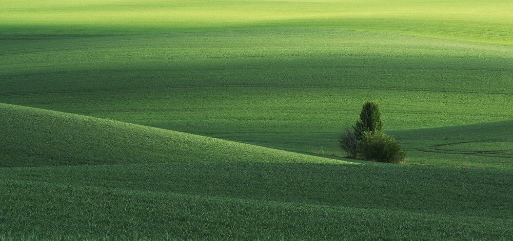 Майские поля на Волыне