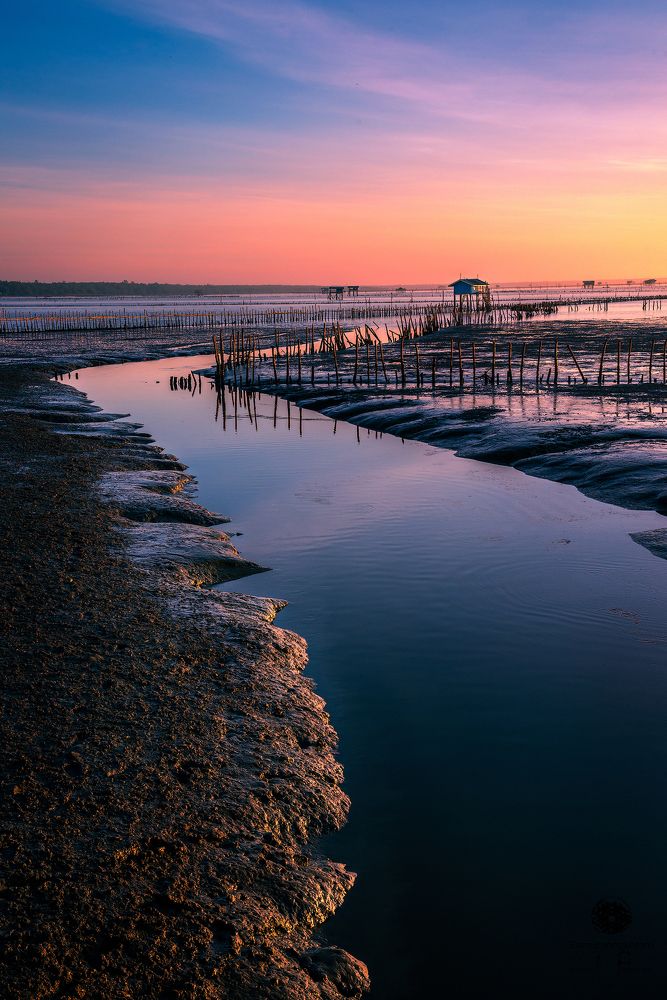 Gulf of Thailand when low water