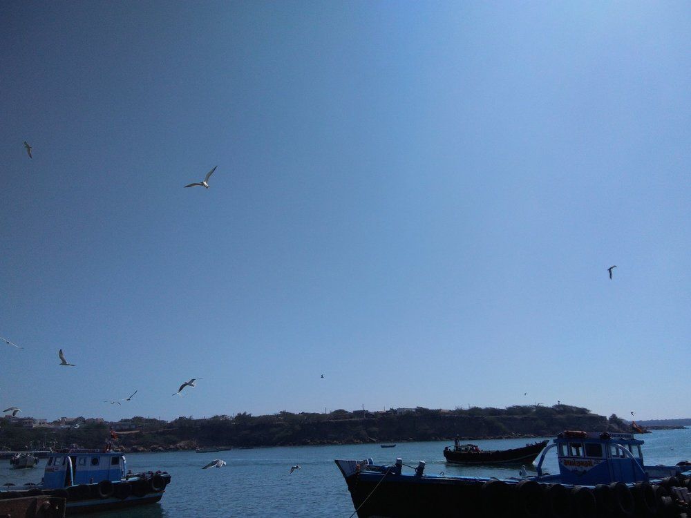 Photo #1777240