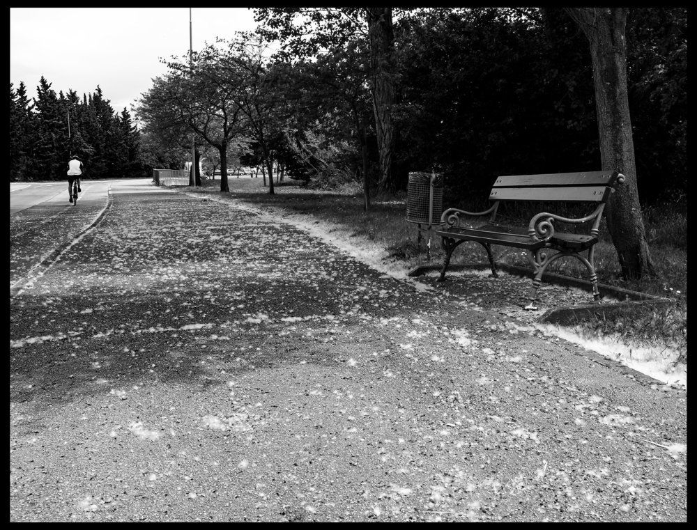 Тополиный пух, жара...