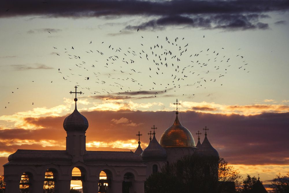 Свято место пусто не бывает