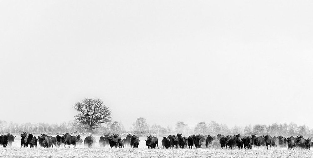 The power of freedom