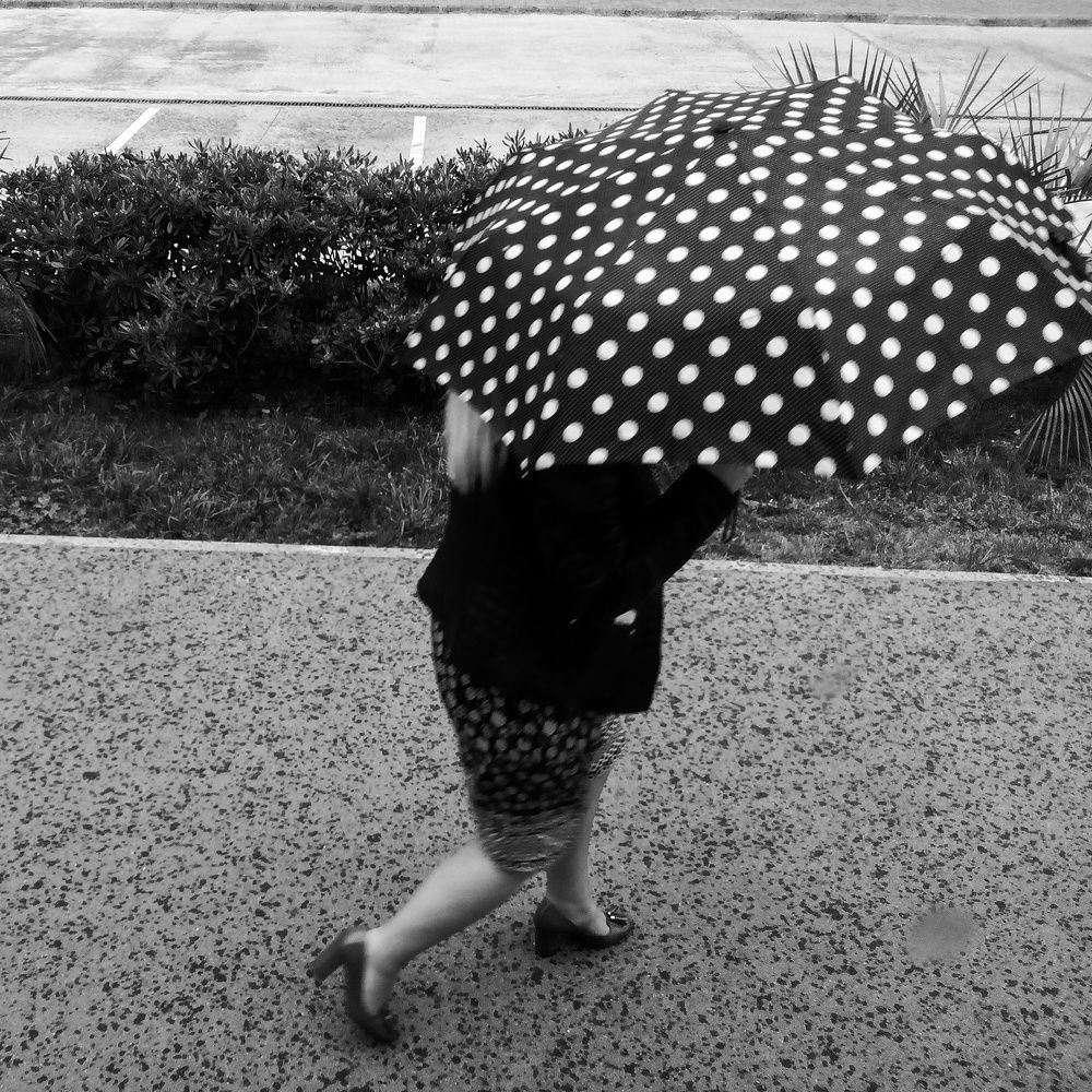 Во время дождя