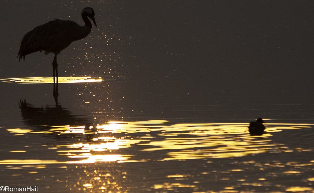 Photograph by Hait Roman